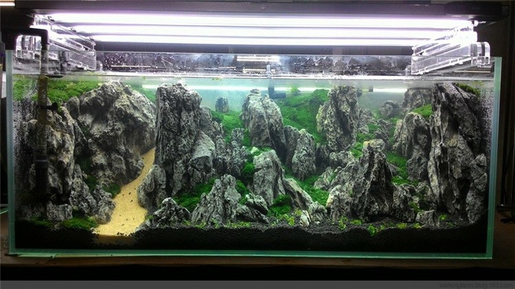 原石 青龙石 鱼缸造景石头水族装饰水草造景草缸造景素材 木化石树干