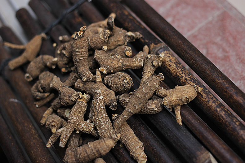 官方旗舰藏参须支人参切片长白山须参茶20克送枸杞