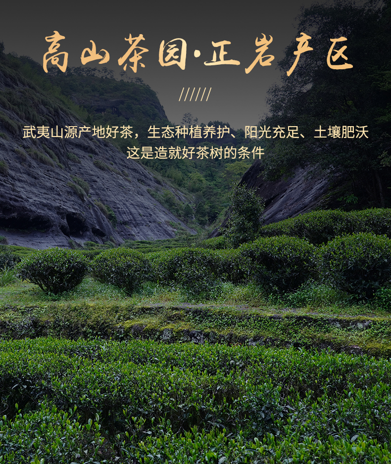 5bd57afdb7d310ff.jpg