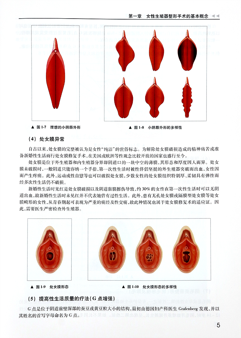 女性私密整形書4本女性生殖器整形美容女性生殖器整形學女性外陰整形