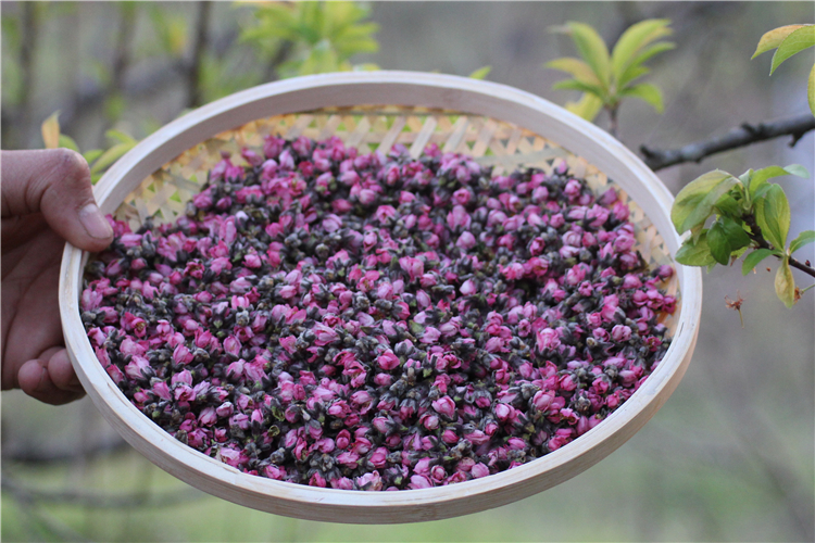 桃花茶泡水喝的茶叶干桃花茶桃花酿酒荷叶玫瑰花瓣散装 50克买二送.