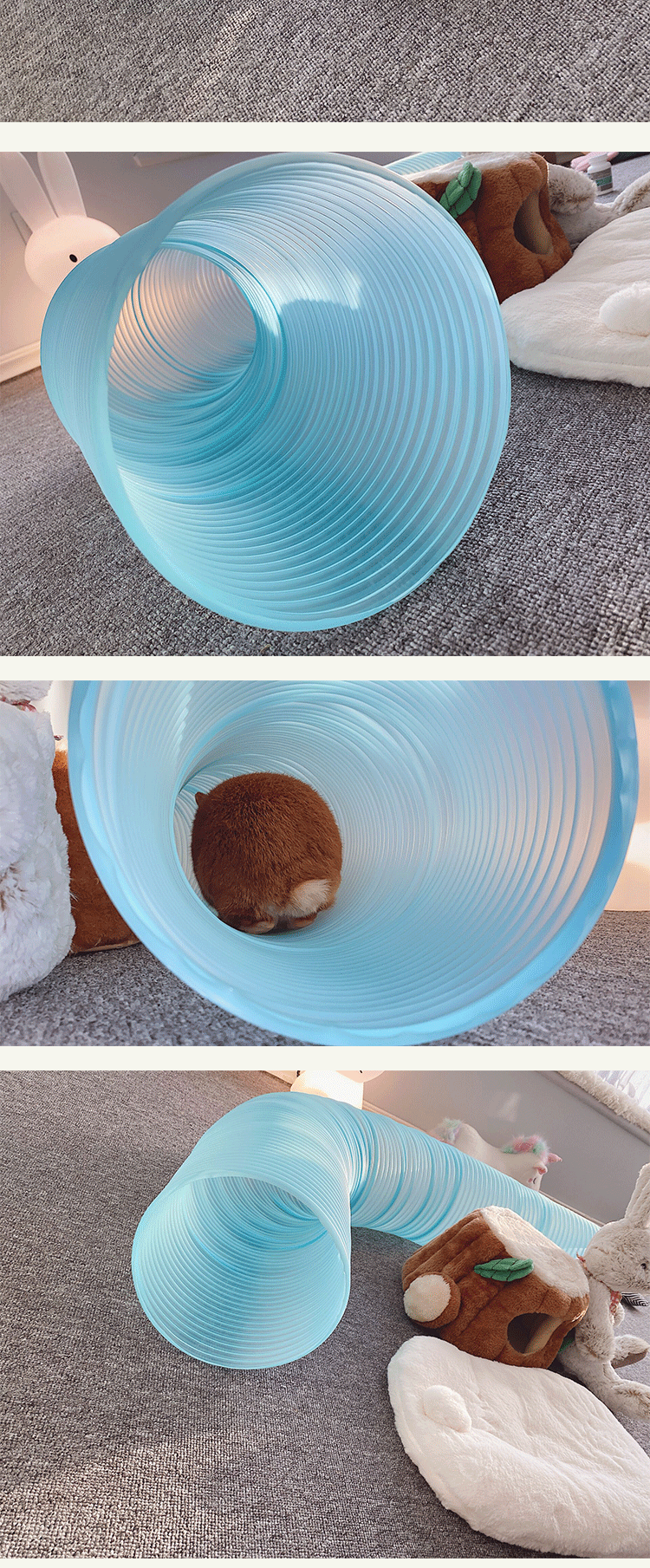 伸缩通道兔子荷兰猪雪貂仓鼠花枝鼠刺猬龙猫隧道玩具管道xl号蓝色拉伸