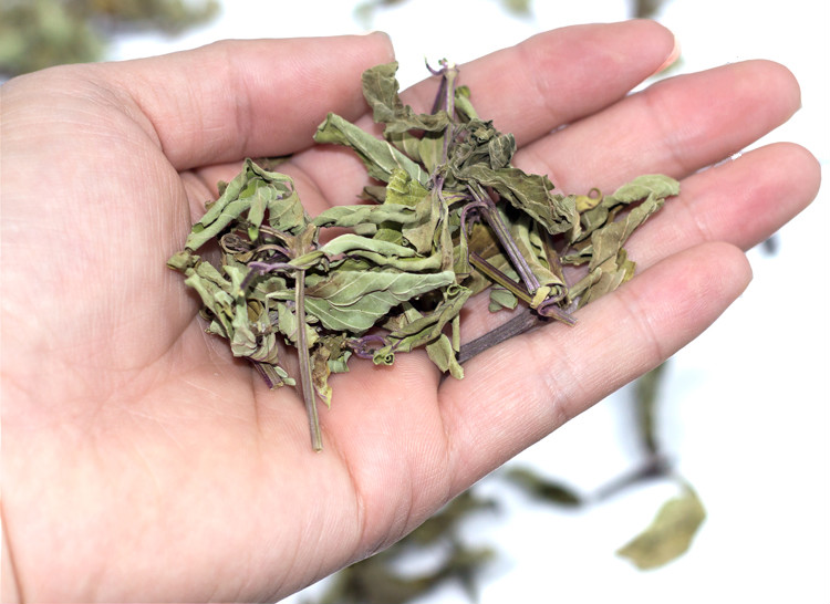 猫须草野生500g云南肾茶特级猫须茶毛须