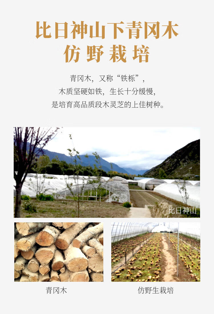 c7253a4f2fa1006b.jpg.avif