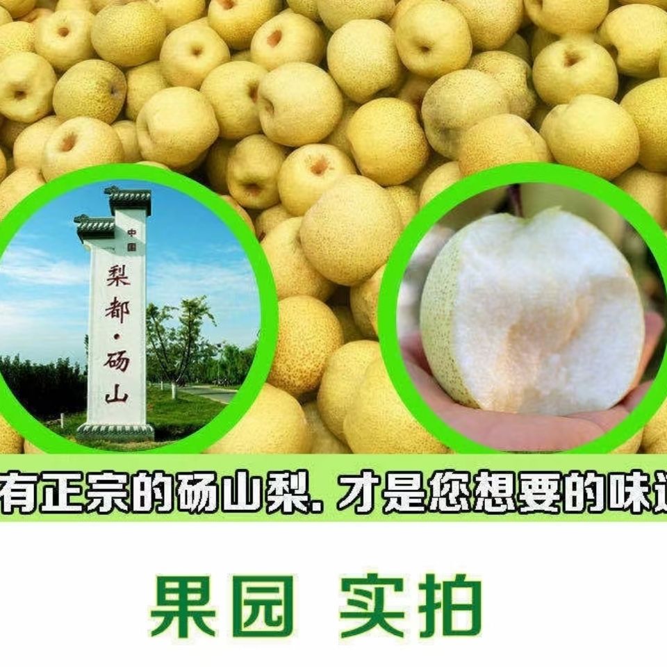 安徽砀山梨子应季新鲜带箱酥脆汤山青皮香甜水果整箱5斤大果