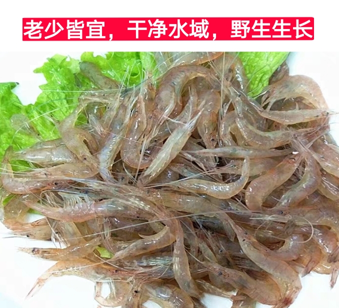 棠鲜生小河虾小白虾淡水小海虾新鲜500g份小河虾500g