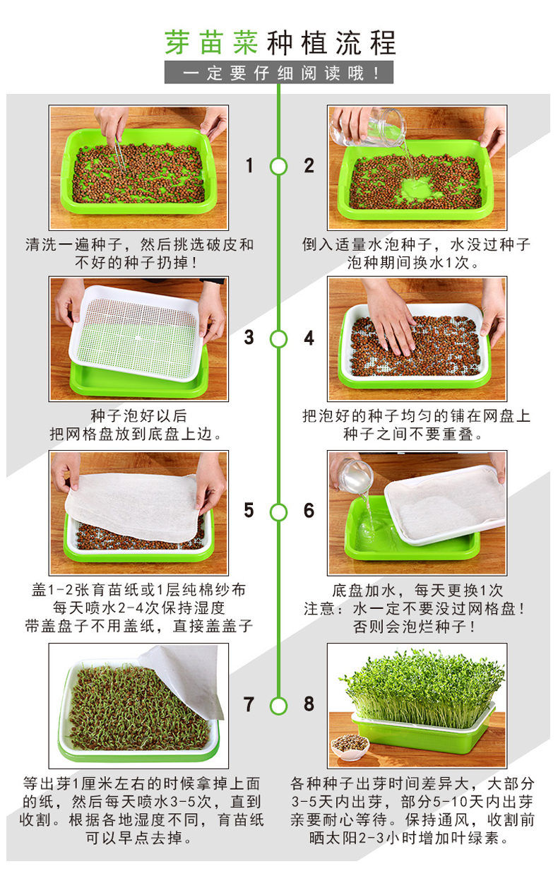 怎么种豆芽 种植方法图片