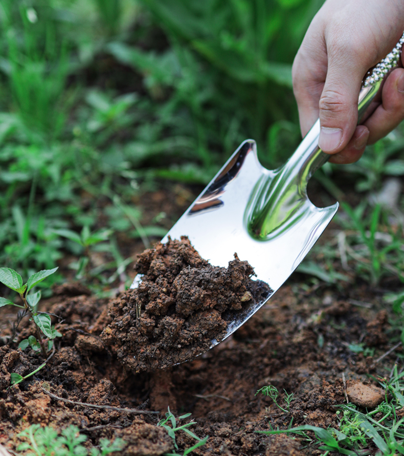 赶海工具全套不锈钢小铲子挖土铁铲种花工具家用园艺铲子挖沙赶海神器