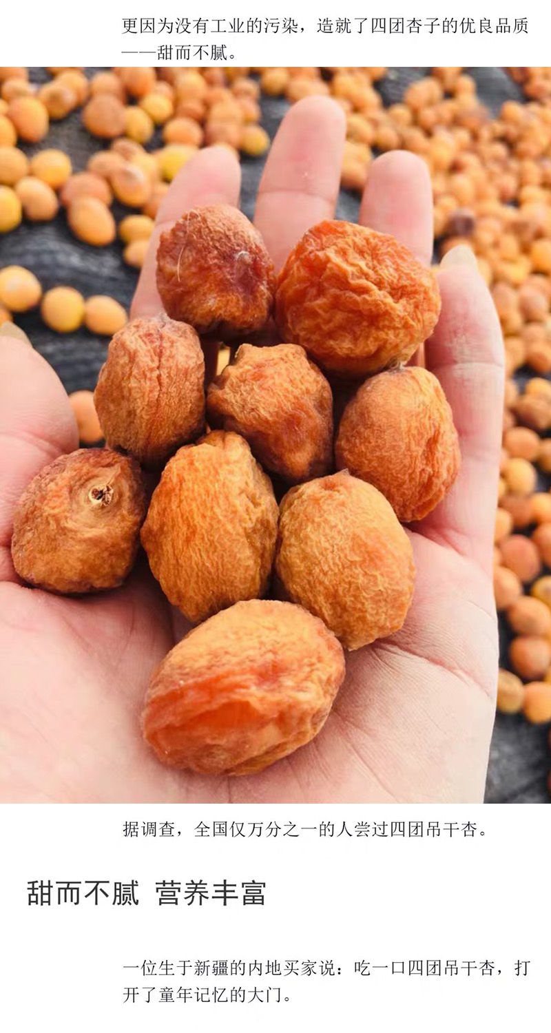新疆吊干杏四团树上吊死干杏干农家天然杏子原味一级吊干杏500g包x2