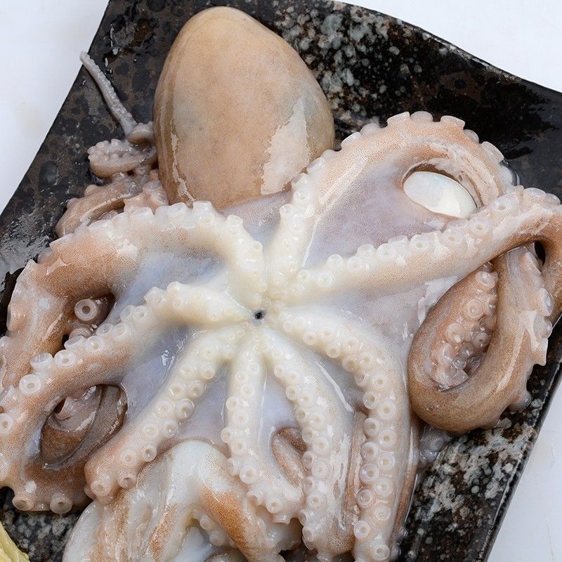 顺丰【大爆头】八爪鱼海鲜水产八爪鱼生鲜长腿八爪鱼 1斤装 长腿大