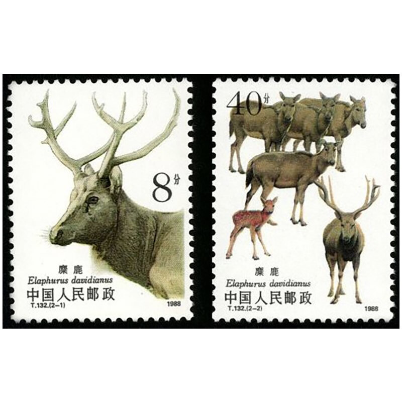 t121-t133套票 大全 集邮收藏 1988年 t132 麋鹿无齿邮票