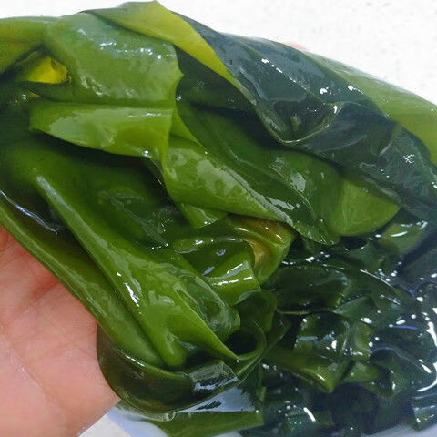 鹽漬裙帶菜葉海芽菜燙三秒海白菜脫水裙帶芽涼拌菜黎麥躍堡涪陵榨菜一