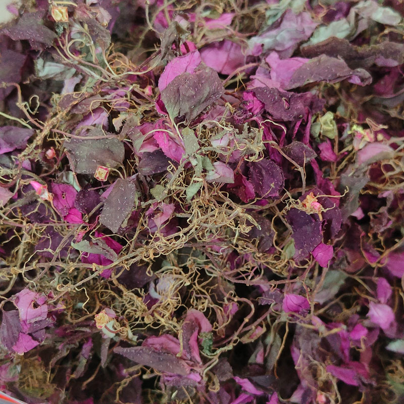 风柜斗草楮头红风鼓草风骨草风谷草新货高品质正宗味道酸绿叶250g