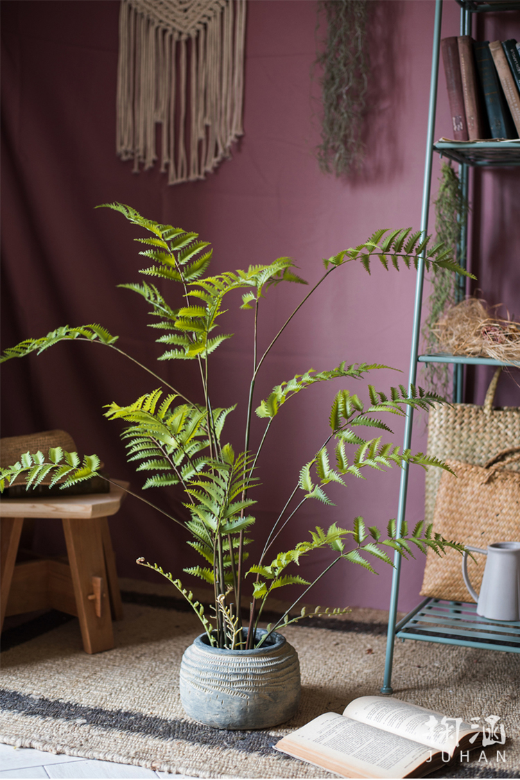 掬涵凤尾蕨苔泥团盆景仿真蕨草蕨树装饰绿植摆件造景陈列绳纹罐大高2