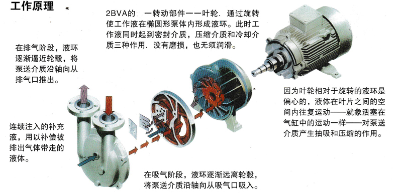 2bv水环式真空泵工业用不锈钢水循环防爆无油高真空配件定制516115kw