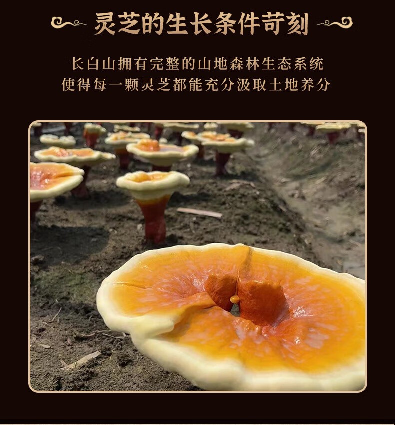 d36ea74235bbee10.jpg