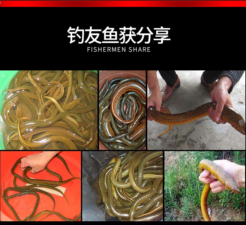 钓黄鳝钩鳝鱼钩专用懒人钓钩具自动高岸引条引钩套装全套工具神器20