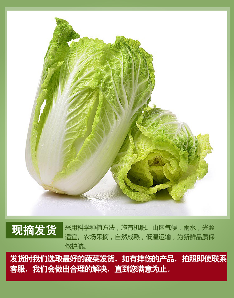 10斤新鲜娃娃菜脆甜现挖现发蔬菜叶菜农村娃娃菜5斤 黄心嫩大白菜 4