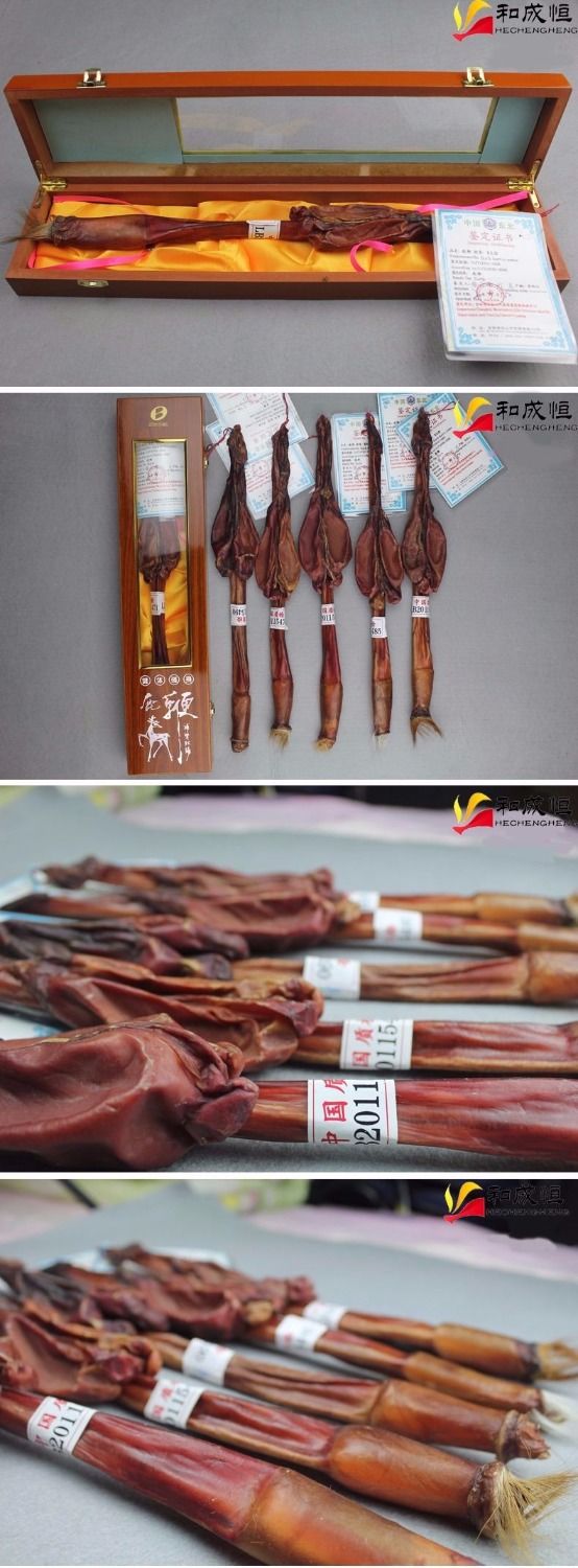 梅花鹿鞭 长白山梅花鹿鞭 真品真的不便宜 泡酒药材 75克及以上梅花