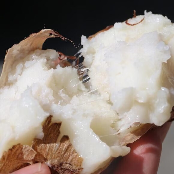 云南毛芋头仔新鲜大小香芋艿软糯农家土特产品牛奶芋头特色蔬菜 5斤