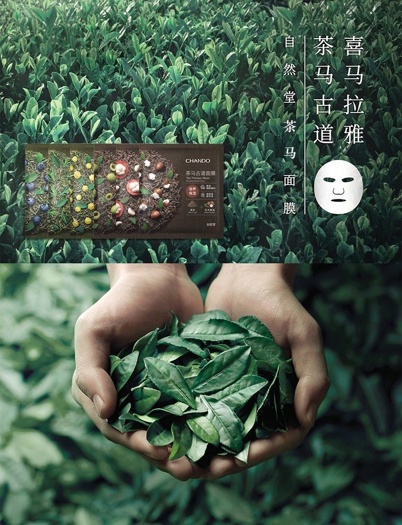 茶马古道面膜茶马古道面膜绿茶补水黑茶滋养提亮舒缓面膜套装护肤品