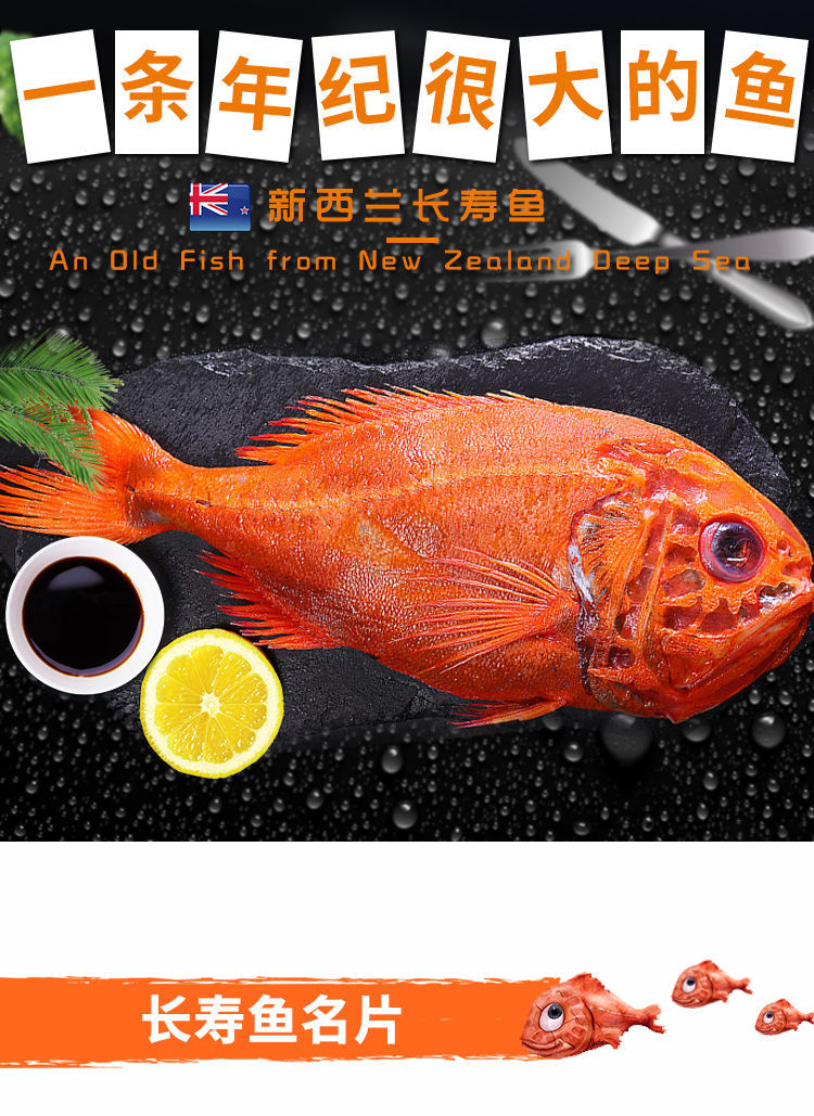 新鲜海捕长寿鱼速冻真鲷鱼鲜活冷冻深海鱼冰鲜鱼海鲜水产3斤装1条