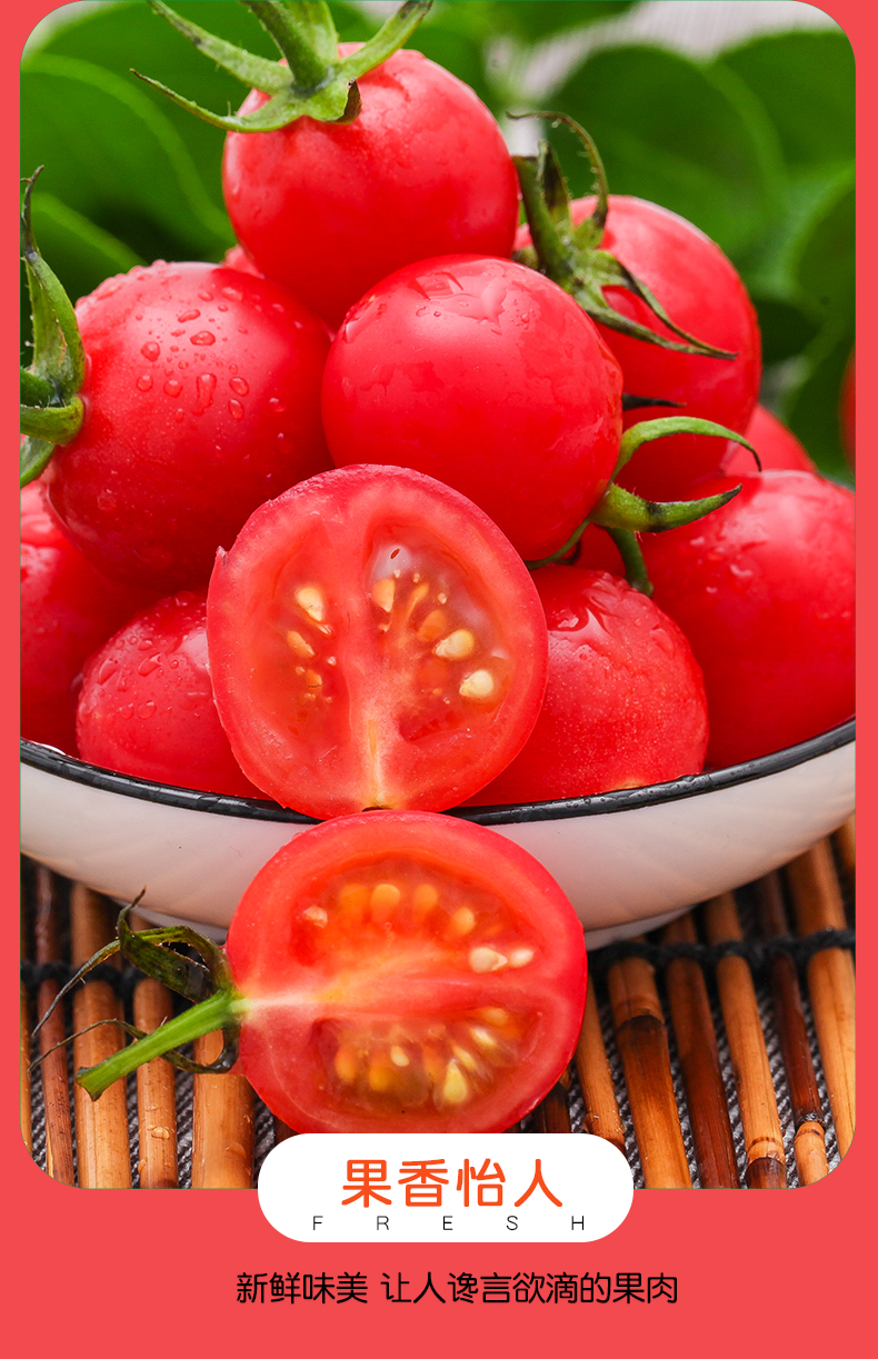 当季圣女果新鲜蔬菜一整箱5斤农家非千禧小番茄孕妇水果现摘10
