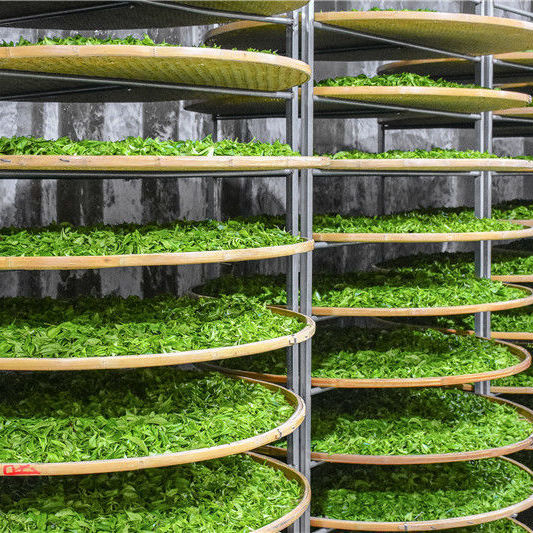 2021新茶上市凤凰单枞茶鸭屎香乌岽单纵茶潮州单丛茶叶蜜兰香礼盒2021