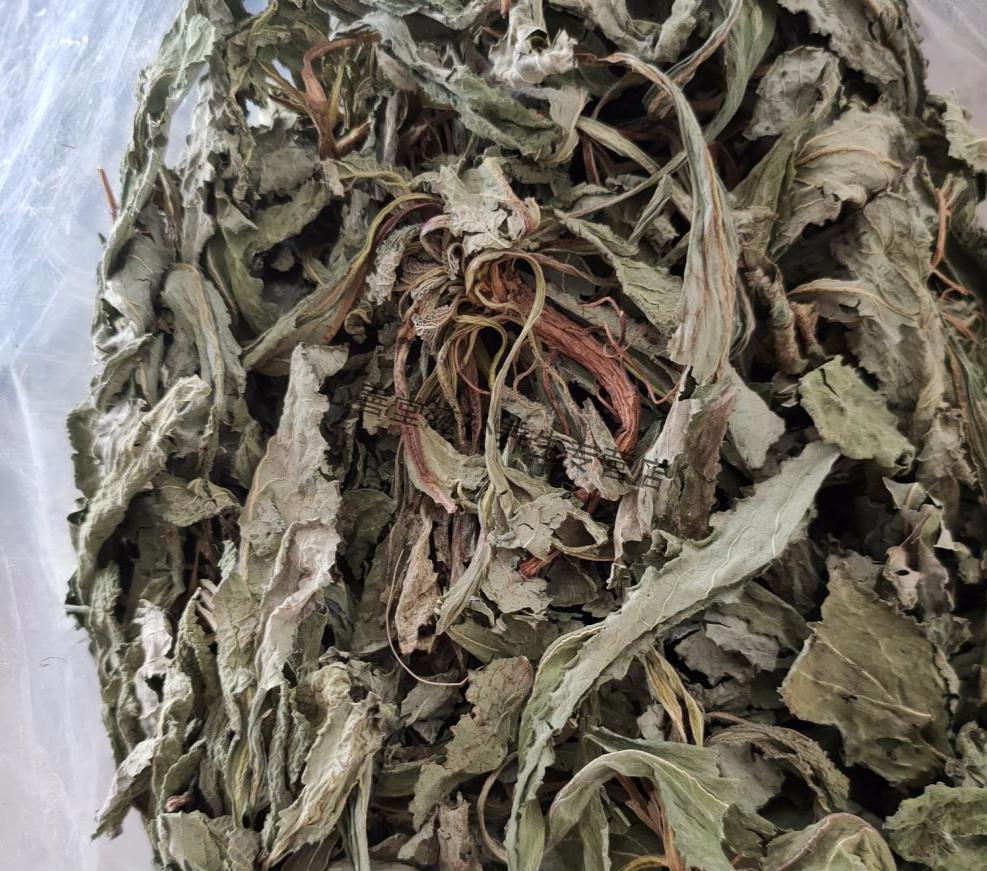 荔枝草雪见草皱皮草蛤蟆皮草蛙草皱皮草雪里青荔枝草500g