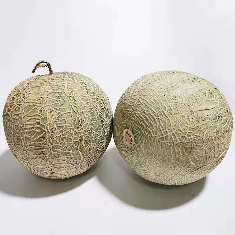 海南玫珑瓜网纹文蜜瓜软糯香甜带箱1-5个新鲜水果冰糖蜜瓜 网纹瓜(5-6