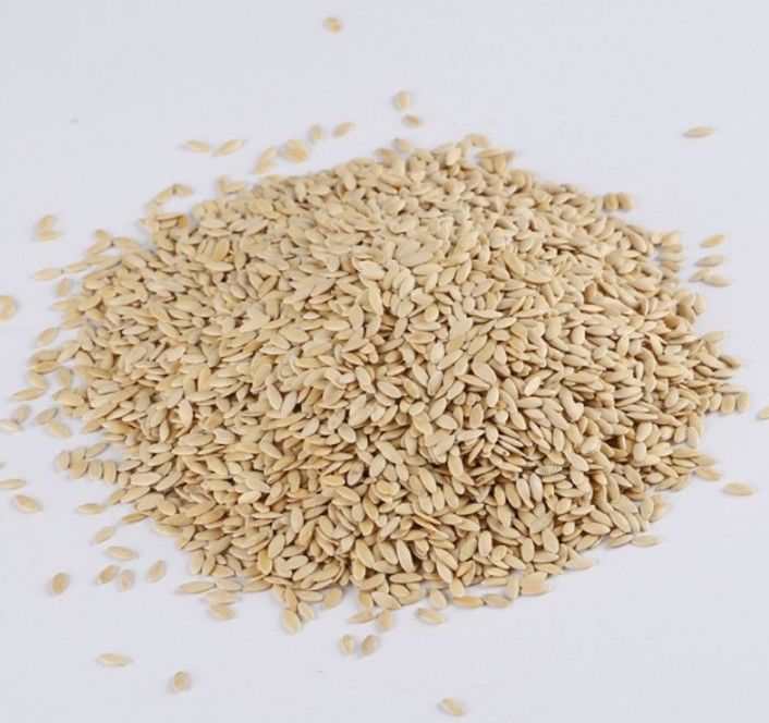 黄瓜籽500g可打黄瓜籽粉黄瓜子种子 可搭配生菜籽黑芝麻 1000克 熟