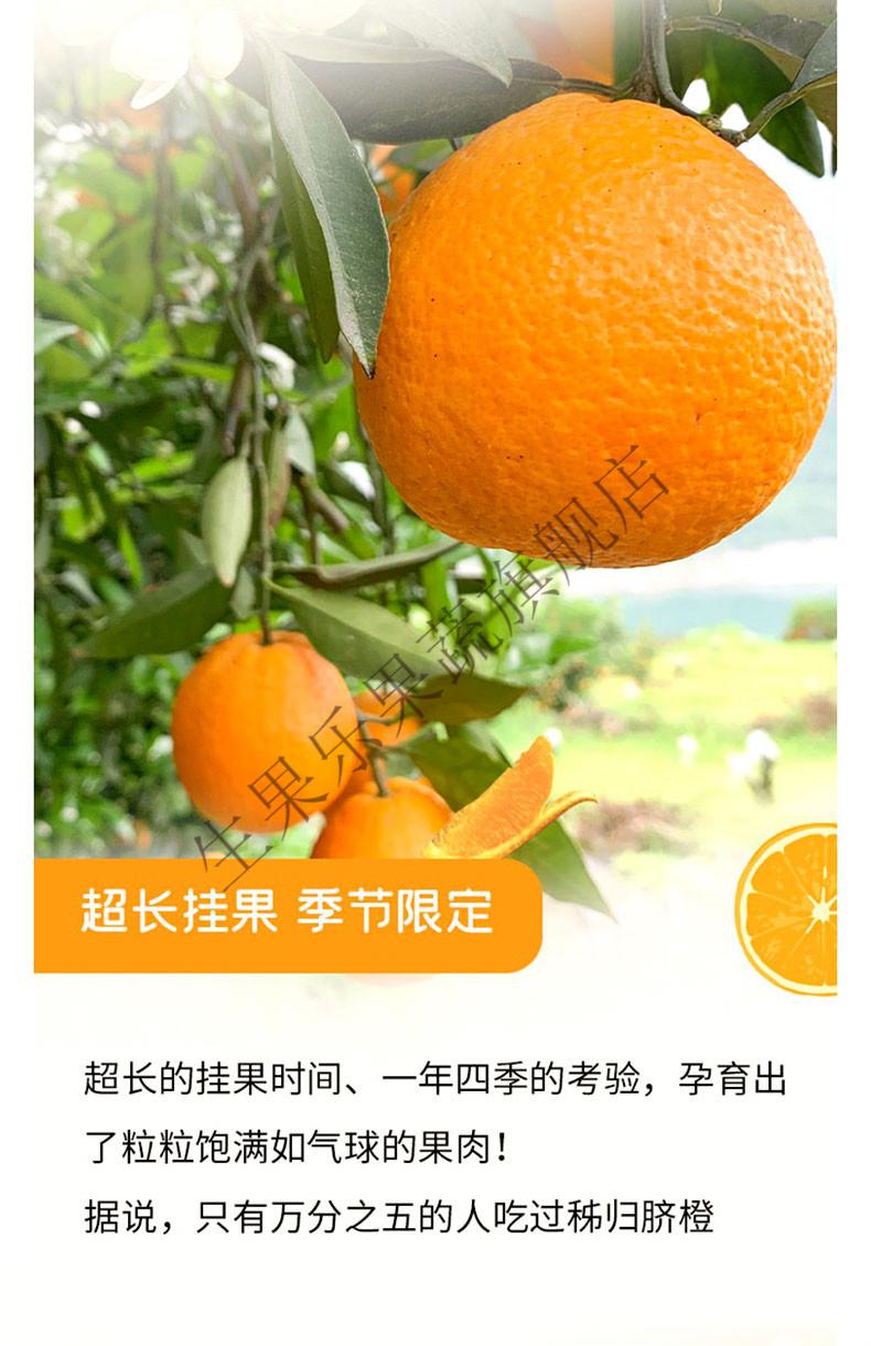 湖北秭归伦晚春橙脐橙新鲜九月红甜橙子当季孕妇水果5斤