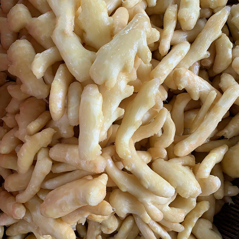 豆豉姜腌制糖醋嫩生姜农家自制下饭菜酸甜味零食江西宜春特产豆豉姜