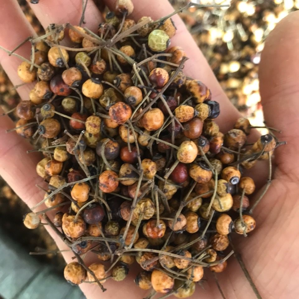 小金樱子 小金英子 小果金樱子 中药材干品500克新货 500g【图片 价格