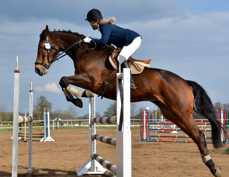 摩托车马术头盔骑士骑马帽透气夏季马具用品男式女款ce认证 908a(小银