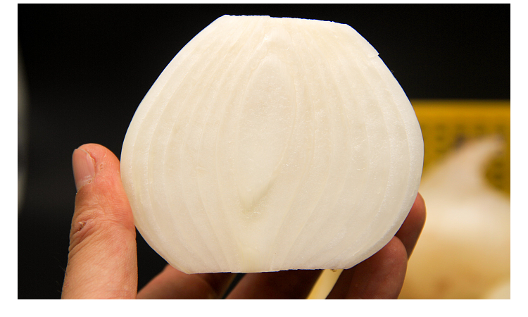 新疆特产美食白皮牙子洋葱芽子新鲜云南小水果蔬菜甜味生吃1500g