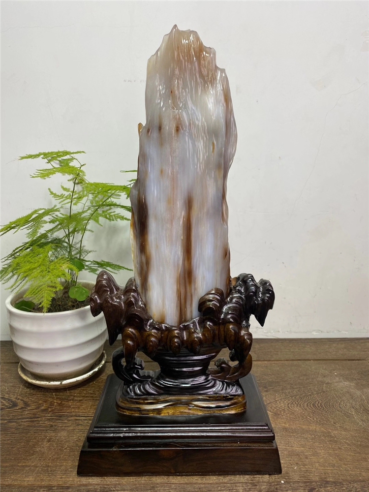 树化玉 玉石天然奇石原石装饰摆件冰种树化玉木化石观赏石景观石石头