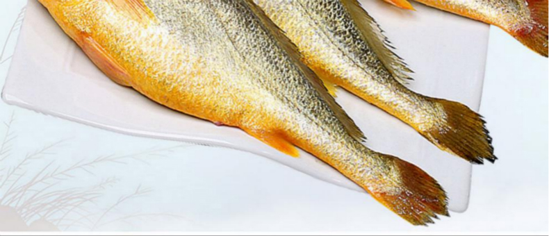 大黄鱼特大黄花鱼新鲜冷冻海鲜水产鲜活宁德霞浦海鱼 1斤