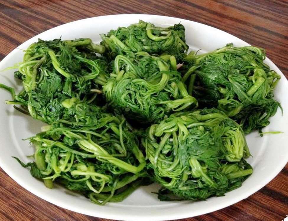 鲜柳蒿芽东北山野菜纯野生柳蒿芽柳蒿东北蘸酱菜1斤 新鲜速冻柳蒿芽3