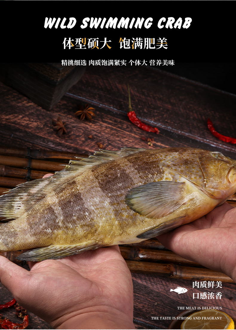 石斑鱼野生东山岛深海捕捞冷冻海鲜鲜活土斑鱼500g2条