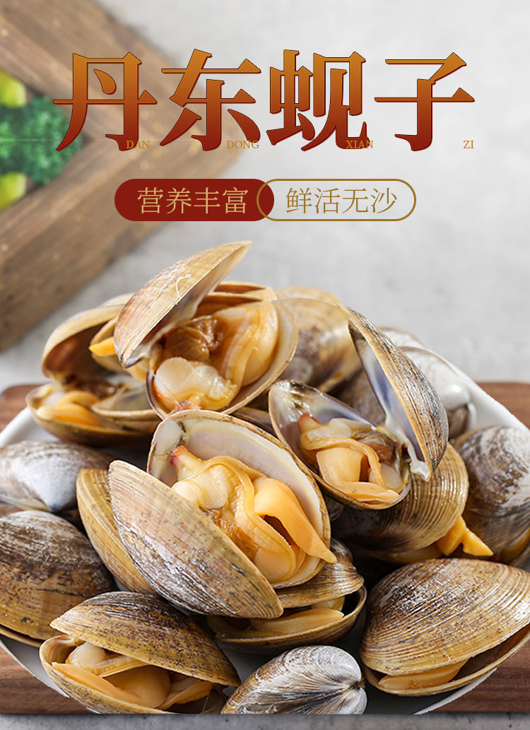丹东特产大黄蚬子文贝即食真空冷冻文蛤500g/袋 5斤黄蚬子(中号每斤25