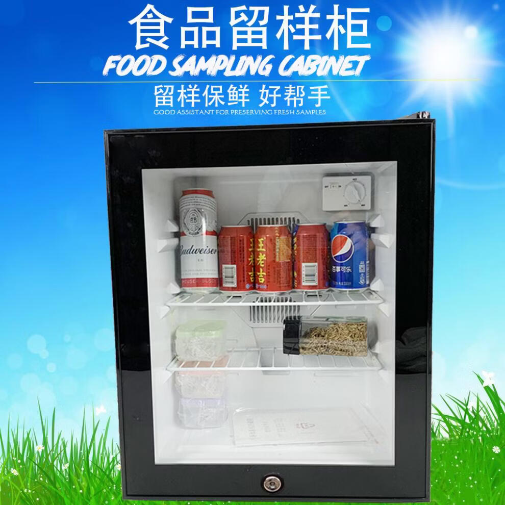 小型家用商用冷藏保鲜展示柜带锁62l带锁全国联保压缩机制冷官方标配