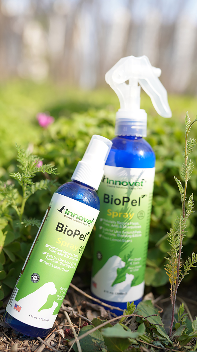 美国进口伊诺特驱虫喷雾狗狗体外驱虫喷雾猫咪驱虫药体外狗狗家庭环境