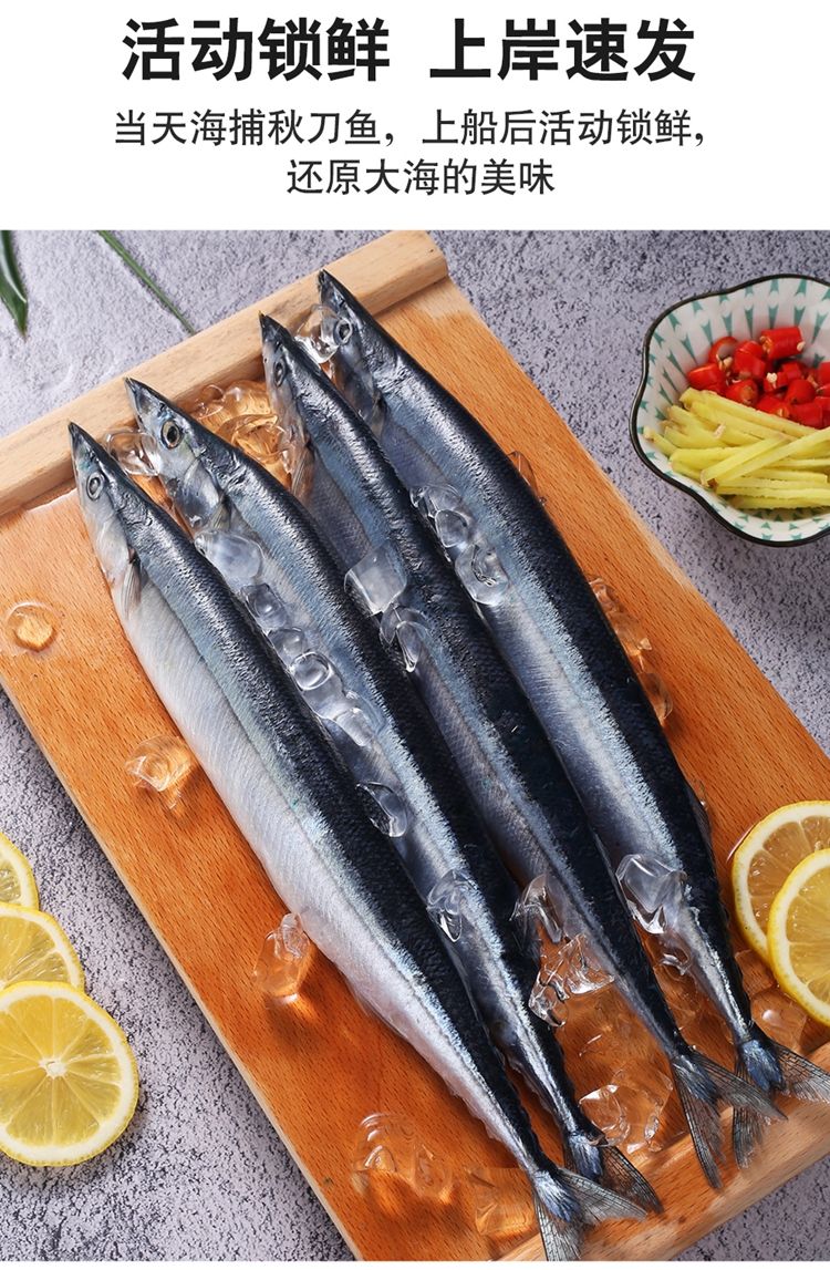 新鲜秋刀鱼鲜冷冻鱼鲜活海鲜水产深海鱼日式精选秋刀鱼1斤