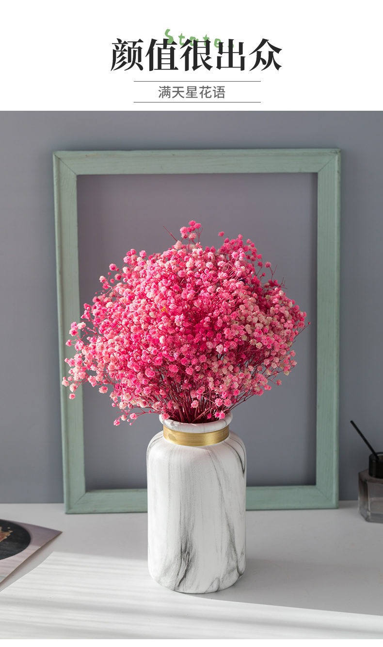满天星干花花束真花永生花风干永生花带花瓶居家客厅桌面装饰摆设原美