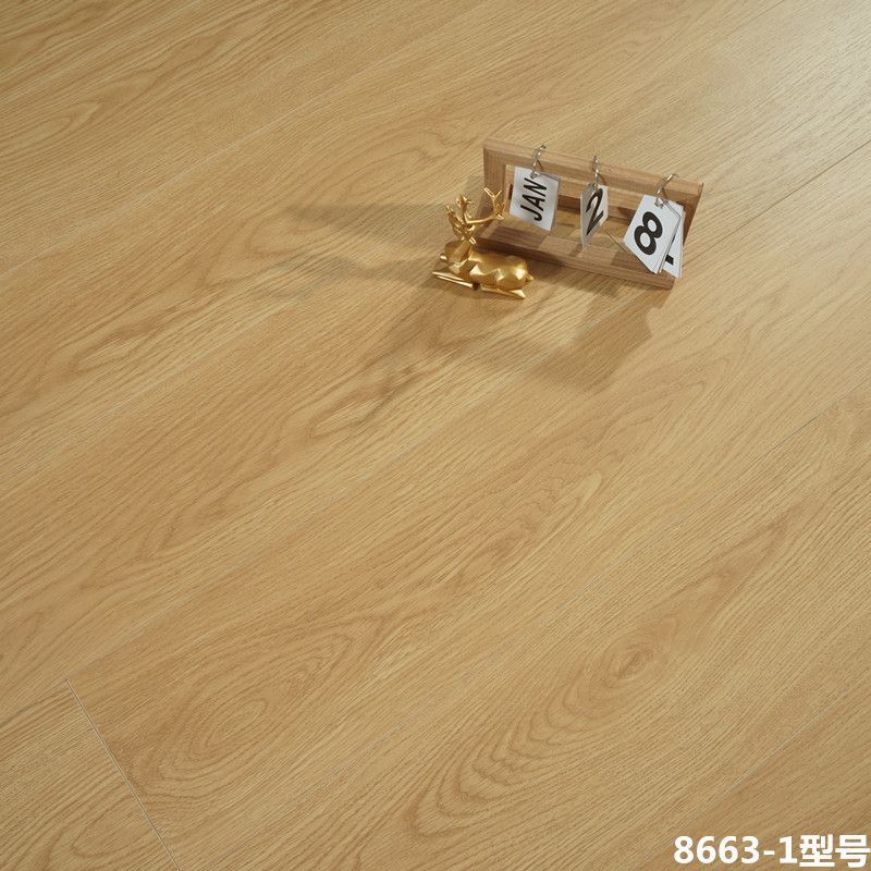 5d025a0c-b055-4b1a-803e-35f1f2ea6c97.jpe