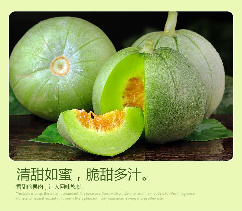 脆甜蜜瓜 精选头茬大果孕妇水果 产地现摘现发 (新鲜绿宝甜瓜中果) 5