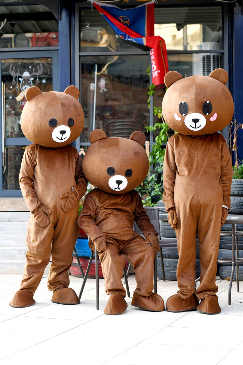 网红熊人偶服装抖音传单熊布偶服成人行走玩偶服布朗熊头套定制 浅色