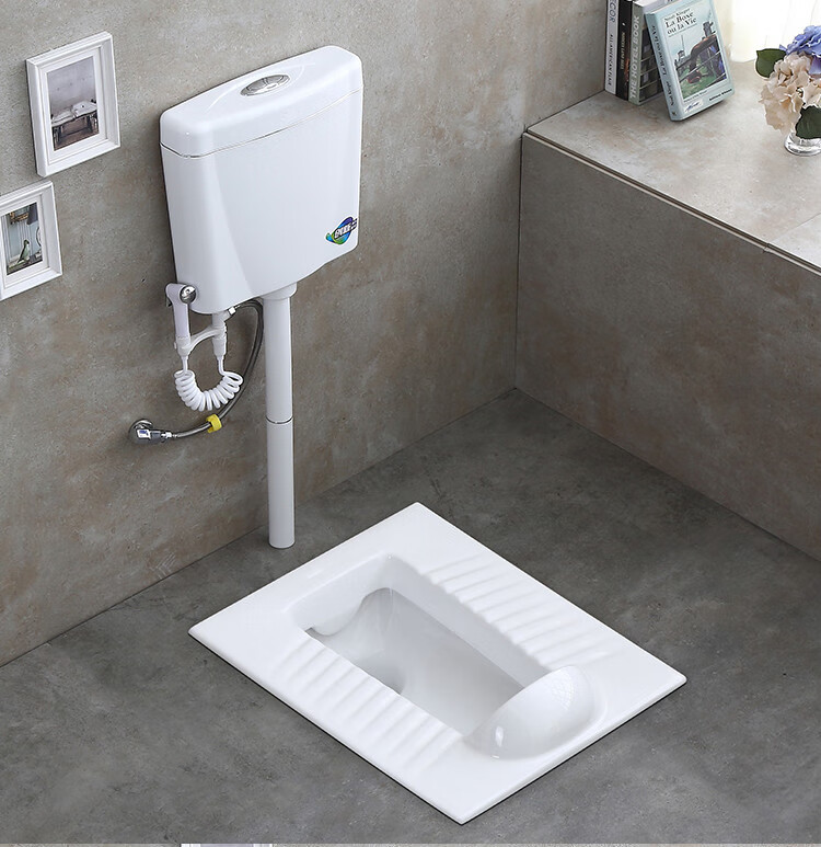 日本卫浴1s toto蹲便器水箱套装公共厕所陶瓷防臭蹲厕家用带挡板蹲坑