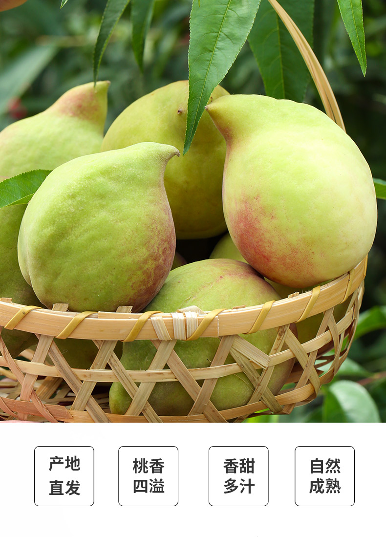 正宗云南蒙自鹰嘴桃新鲜水果脆甜红心蜜桃子连平脆桃孕妇水果整箱毛桃